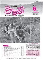 市報ちちぶ(平成25年6月号)表紙
